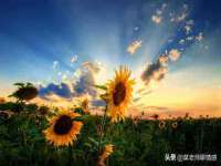 义乌市湾柑电子商务商行