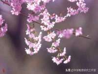 义乌市湾柑电子商务商行