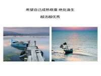 义乌市湾柑电子商务商行