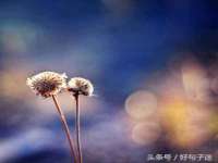 义乌市湾柑电子商务商行