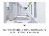 义乌市湾柑电子商务商行
