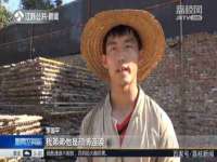 义乌市湾柑电子商务商行