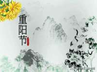 义乌市湾柑电子商务商行