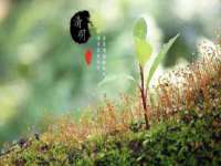 义乌市湾柑电子商务商行