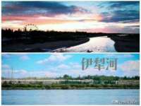 义乌市湾柑电子商务商行