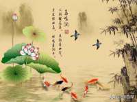 义乌市湾柑电子商务商行