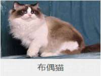 义乌市湾柑电子商务商行