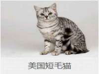 义乌市湾柑电子商务商行