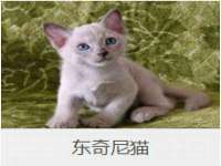 义乌市湾柑电子商务商行