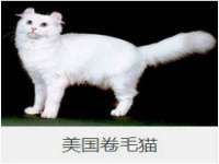 义乌市湾柑电子商务商行