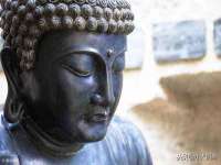 义乌市湾柑电子商务商行