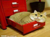 义乌市湾柑电子商务商行