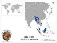义乌市湾柑电子商务商行