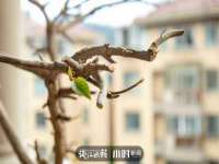 义乌市湾柑电子商务商行