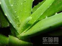 义乌市湾柑电子商务商行