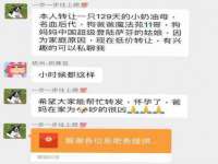 义乌市湾柑电子商务商行