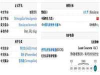 义乌市湾柑电子商务商行