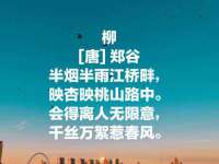 义乌市湾柑电子商务商行