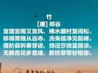 义乌市湾柑电子商务商行