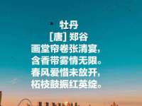 义乌市湾柑电子商务商行
