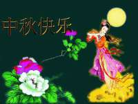 义乌市湾柑电子商务商行