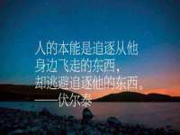 义乌市湾柑电子商务商行