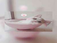 义乌市湾柑电子商务商行