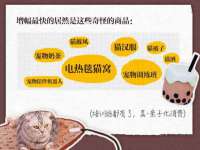 义乌市湾柑电子商务商行