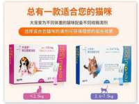 义乌市湾柑电子商务商行