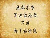 义乌市湾柑电子商务商行