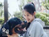 义乌市湾柑电子商务商行