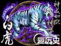 义乌市湾柑电子商务商行