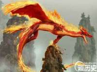 义乌市湾柑电子商务商行