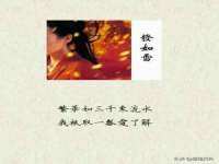 义乌市湾柑电子商务商行