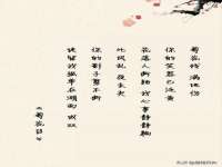 义乌市湾柑电子商务商行