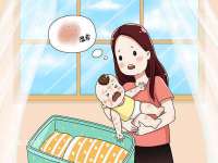 义乌市湾柑电子商务商行