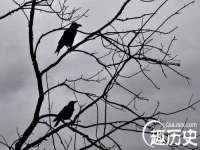义乌市湾柑电子商务商行