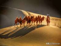 义乌市湾柑电子商务商行