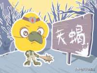 义乌市湾柑电子商务商行