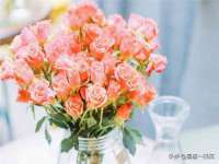 义乌市湾柑电子商务商行