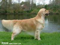 义乌市湾柑电子商务商行