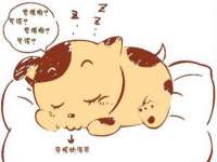 义乌市湾柑电子商务商行