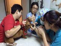 义乌市湾柑电子商务商行