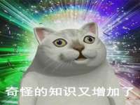 义乌市湾柑电子商务商行