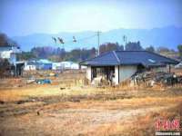 义乌市湾柑电子商务商行