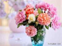 义乌市湾柑电子商务商行