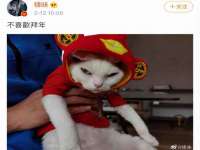 义乌市湾柑电子商务商行